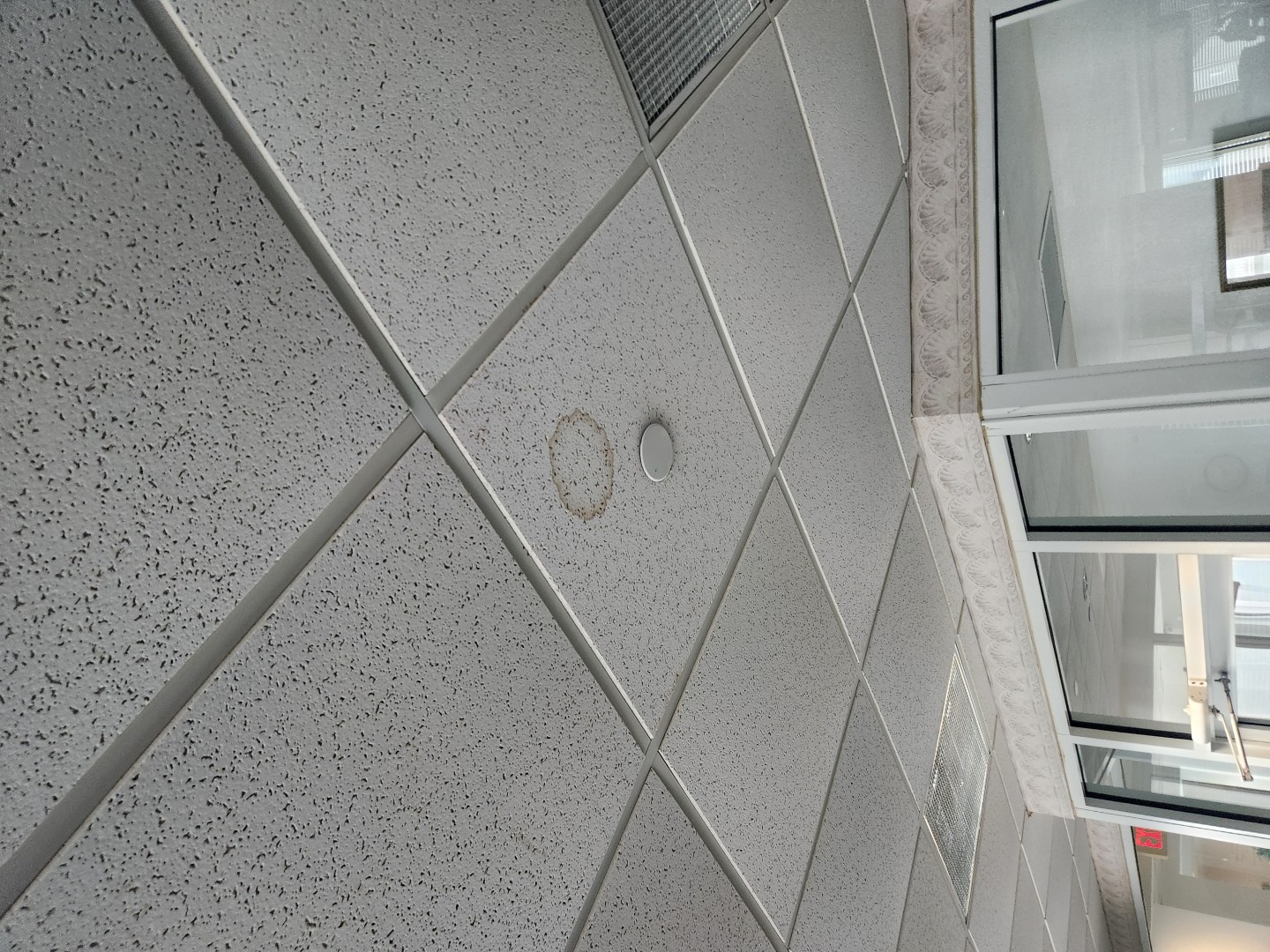 Gym Ceiling 2